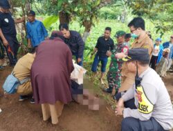 Geger Penemuan Mayat Pria di Sukaraja Sukabumi dengan Kondisi Tergantung di Pohon Durian