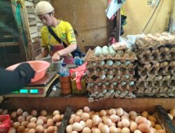 Pasokan Meningkat, Harga Telur Ayam di Pasar Kota Sukabumi Alami Penurunan