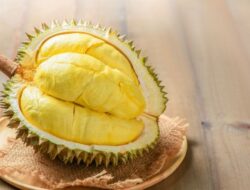 Manfaat Durian Yang Jarang Orang Ketahui, Salah Satunya Mencegah Penuaan