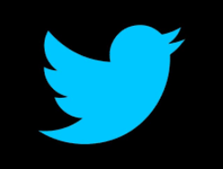 Tips Menjaga Keamanan Twitter Agar Tidak Mudah di Retas