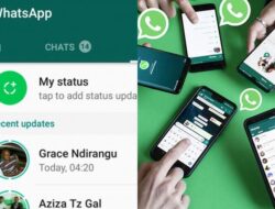 Masih Bingung Cara Download Status WhatsApp ? Yuk Ikuti Langkah-Langkahnya
