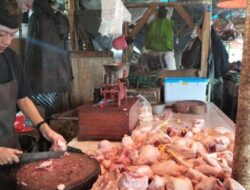 Harga Daging Ayam Broiler di Pasar Kota Sukabumi Hari Ini Alami Penurunan