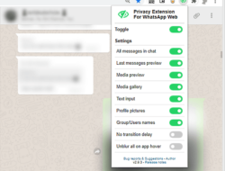 Mulai Aktifkan Mode Blur di WhatsApp Web Untuk Menghindari Manusia Kepo, Begini Caranya