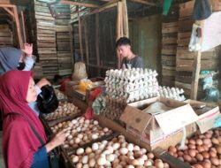 Harga Telur Ayam di Pasar Kota Sukabumi Alami Penurunan Harga