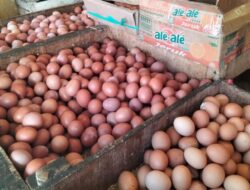 Pasokan Berkurang, Harga Telur Ayam di Pasar Kota Sukabumi Hari Ini Rp28 Ribu per-Kilogram