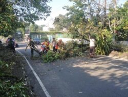 Ada Pembangunan Pedestrian di Jalan Siliwangi, Timbulkan Korban Kecelakaan
