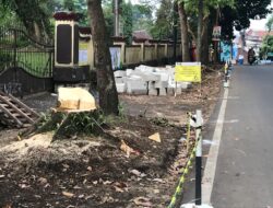 Tebang Pohon Untuk Pembangunan Pedestrian, Kadis PUTR Kota Sukabumi Ungkap Hal Ini