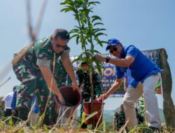 63.000 Bibit Pohon Ditanam di Area Latihan Kostrad Sukabumi