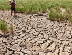El Nino Diprediksi Terjadi di Bulan Agustus, BPBD Kota Sukabumi Imbau Masyarakat