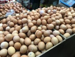 Pasokan Meningkat, Harga Telur Ayam di Pasar Kota Sukabumi Rp30 Ribu Perkilogram