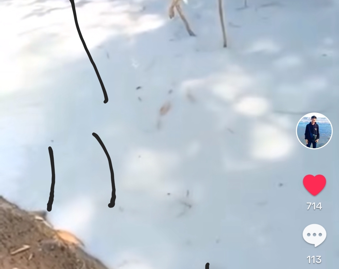 Tangkapan Layar Video Viral Sungai Cibojong Berubah Warna Menjadi Putih Susu Diduga Akibat Limbah Pengolahan Batu Hijau (Sumber : @acilsaputraacil) 