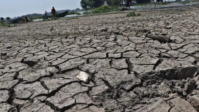 Data BNPB, Sukabumi Alami Krisis Air Bersih dan Karhutla