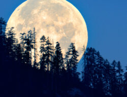 Malam Ini Super Full Moon Akan Muncul di Langit Indonesia