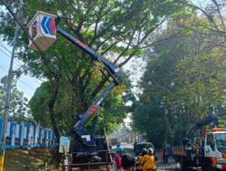 Akibat Pohon Tumbang, Dishub ‘Gercep’ Tangani Tiang Warning Light dan PJU di Jalan Selabintana