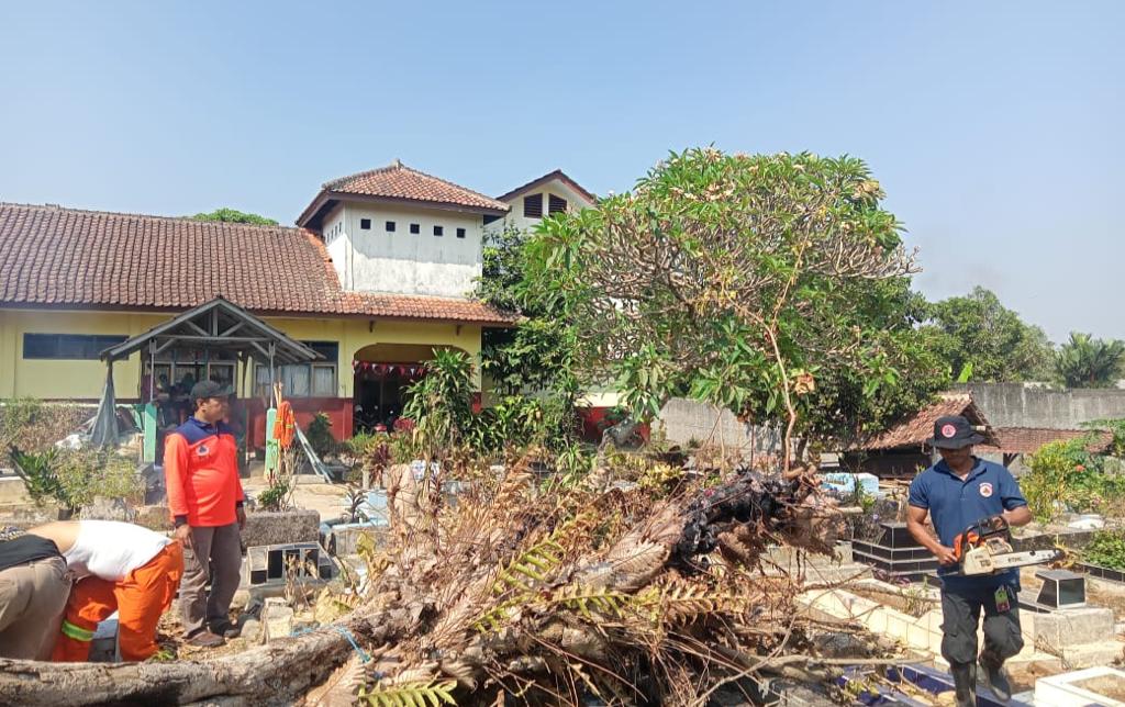 Petugas BPBD bersama masyarakat mengevakuasi sebuah pohon tumbang di area TPU Dayeuhluhur, Kecamatan Warudoyong, Kota Sukabumi, pada Jumat 15 September 2023. Foto: Humas BPBD Kota Sukabumi for HALOSMI.