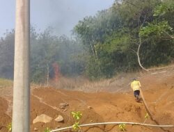 2 Kebakaran Lahan Terjadi di Kabupaten Sukabumi Dalam Sehari 