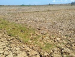 Dampak El Nino, Peneliti BRIN Sebut Awal Musim Hujan di Jawa Alami Penundaan