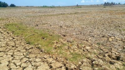 Dampak El Nino, Peneliti BRIN Sebut Awal Musim Hujan di Jawa Alami Penundaan