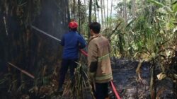 Petugas Damkar Kota Sukabumi saat memadamkan api yang membakar lahan di wilayah Kecamatan Citamiang, pada Selasa 3 Oktober 2023. Foto: Humas Damkar Kota Sukabumi for HALOSMI.