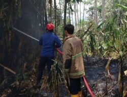 Dalam Sehari, Peristiwa Kebakaran di Sukabumi Terjadi di 4 Lokasi