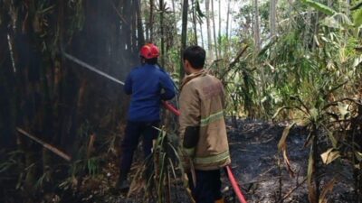 Dalam Sehari, Peristiwa Kebakaran di Sukabumi Terjadi di 4 Lokasi