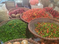Hari Ini, Harga Cabai di Pasar Kota Sukabumi Alami Kenaikan