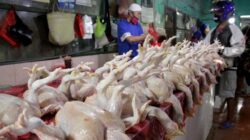 Ilustrasi pedagang daging ayam broiler saat melayani pembeli. Foto: Istimewa.