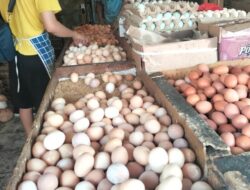 Hari Ini, Harga Telur Ayam di Pasar Kota Sukabumi Rp 27 Ribu Perkilogram