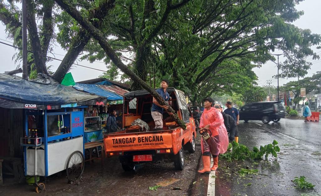 Petugas Badan Penanggulangan Bencana Daerah (BPBD) Kota Sukabumi mengevakuasi pohon tumbang, pada beberapa waktu lalu. Foto: Pusdalops BPBD Kota Sukabumi for HALOSMI.