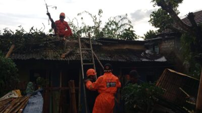 Petugas Badan Penanggulangan Bencana Daerah (BPBD) Kota Sukabumi melakukan evakuasi pohon tumbang yang menimpa atap rumah warga di wilayah Kelurahan Cibeureum Hilir, Kecamatan Cibeureum, pada Rabu, 21 Februari 2024. Foto: Pusdalops BPBD Kota Sukabumi for HALOSMI.
