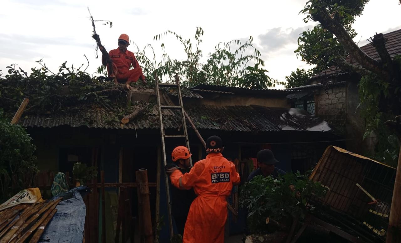 Petugas Badan Penanggulangan Bencana Daerah (BPBD) Kota Sukabumi melakukan evakuasi pohon tumbang yang menimpa atap rumah warga di wilayah Kelurahan Cibeureum Hilir, Kecamatan Cibeureum, pada Rabu, 21 Februari 2024. Foto: Pusdalops BPBD Kota Sukabumi for HALOSMI.