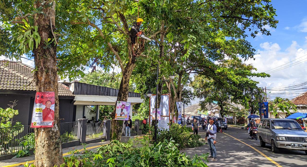 Petugas Dinas Pekerjaan Umum dan Tata Ruang (PUTR) Kota Sukabumi lakukan pemangkasan pohon di Jalan Bhayangkara, Kecamatan Gunungpuyuh, pada beberapa waktu lalu. Foto: Istimewa.