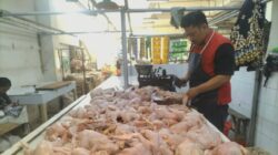 Pedagang daging ayam broiler di Pasar Pelita Kota Sukabumi. Foto: Nuria Ariawan/HALOSMI.