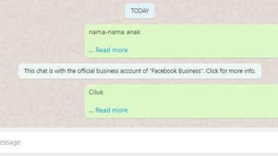 Fitur ‘Read More’ WhatsApp Bisa untuk Hide Chat!