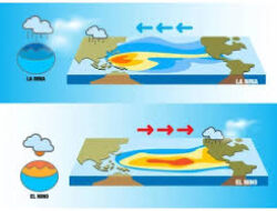 Fenomena El Nino dan La Nina, Apa Perbedaanya?