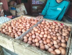 Hari Ini, Harga Telur Ayam di Pasar Kota Sukabumi Rp 30 Ribu Perkilogram