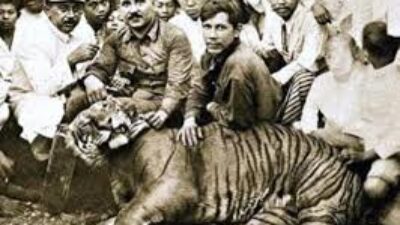 Tradisi Rampogan Macan Penyebab Punahnya Harimau Jawa