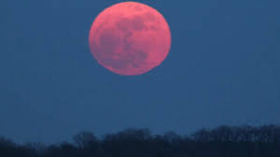 Apa Itu Fenomena Pink Moon dan Kapan Terjadinya?
