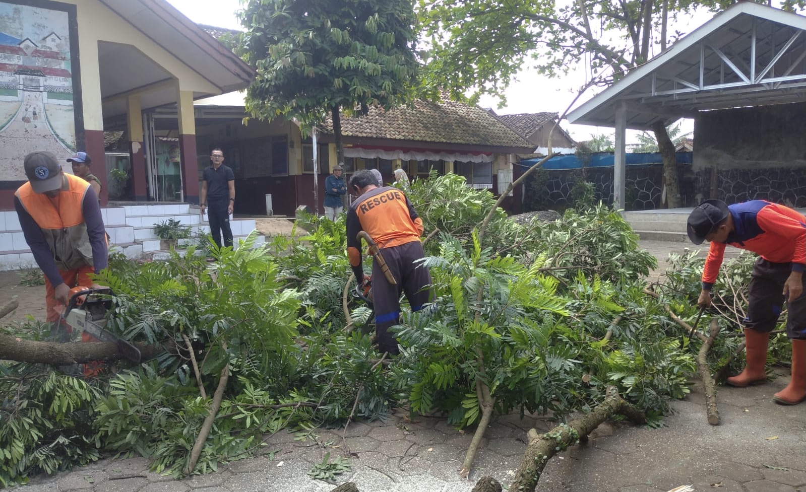 Petugas BPBD Kota Sukabumi saat melakukan mitigasi pohon di SDN Babakan Bandung, tepatnya di Jalan Assalam RT 06/03, Kelurahan Nanggeleng, Kecamatan Citamiang, pada Selasa, 7 Mei 2024. Foto: Pusdalops BPBD Kota Sukabumi for HALOSMI.
