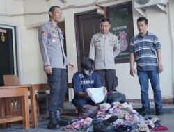 Ada-ada Saja, Penjual Siomay di Semarang Ditangkap Polisi Usai Curi Ratusan Celana Dalam Wanita