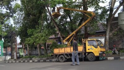 Petugas Dinas PUTR Kota Sukabumi, saat melakukan pemangkasan pohon rindang di ruas jalan Kota Sukabumi, pada beberapa waktu lalu. Foto: Istimewa.