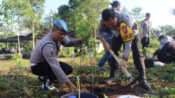 Kapolres Sukabumi Kota, AKBP Ari Setyawan Wibowo, saat menanam bibit pohon dalam rangka menyambut Hari Bhayangkara ke-78 yang dilakukan secara serentak di seluruh Polsek Jajaran Polres Sukabumi Kota. Foto: Humas Polres Sukabumi Kota.